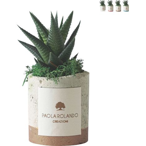 Paola Rolando pianta grassa con vaso cementino fascia colorata Industrial - Beige
