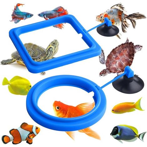 Anello galleggiante per alimentazione (2 pezzi) con ventosa flessibile, anello per alimentazione acquario, anello per alimentazione pesci, anello per alimentazione acquario, attacco a ventosa (1/5)