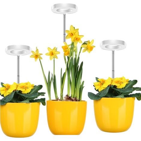 LED Schreibtischlampe für Zimmerpflanzen – Vollspektrum Wachstumslicht (rot, blau, weiß), mit Engelring, 3 höhenverstellbare Arme und USB-Anschluss, weißes minimalistisches Design