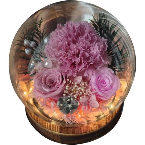 Flores preservadas bajo una cúpula de cristal: regalos para tu novia/esposa en el Día de Qixi, San Valentín, Navidad, graduación o cumpleaños.