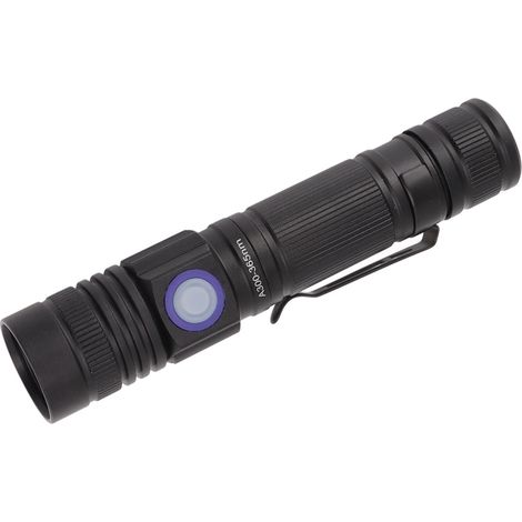 Lampe UV 365nm Rechargeable USB Torche Portative Durcissement Résine LED Détecteur Urine (1/5)