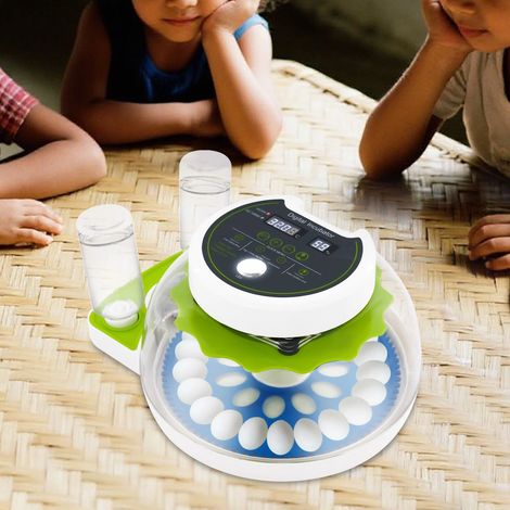 Incubateur pour œufs de caille, petite couveuse pour cailles, incubateur pour volailles (1/5)