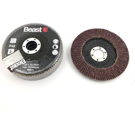 3 Disques Lamelles Bombés D. 125 x Al. 22,23 mm - Gr 40 Corindon pour Bois - Métal - Résistance et précision - Beast (1/5)