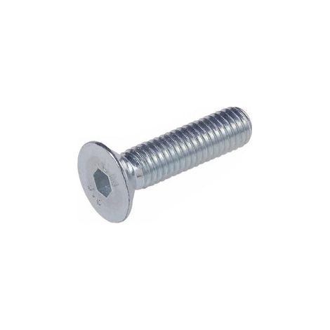 VITE P/FERRO TSPEI FILETTO TOTALE  8X25 ZINC UNI5933 Q.TA 200