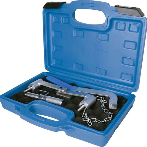 BRILLIANT TOOLS Juego de herramientas de sincronización del motor para Renault Volvo Ford 16V 20V gasolina - BT594670 (1/4)