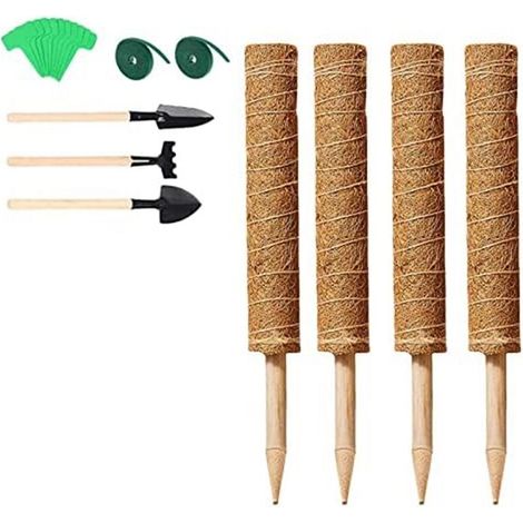 Ensemble de 4 tuteurs pour plantes grimpantes en pot de 40 cm (16 pouces) pour plantes d'intérieur, avec étiquettes et mini-outils de jardinage. (1/5)