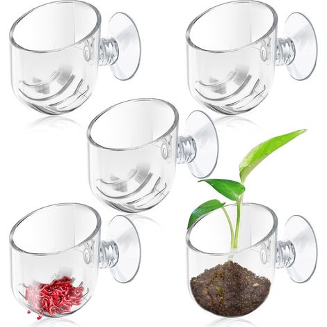 Lot de 5 supports de plantes d'aquarium transparents avec ventouse, en acrylique transparent à suspendre, mangeoire pour poissons et crevettes pour décoration de paysage aquatique