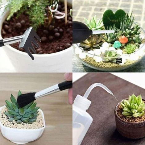 Outils Pour Plantes Succulentes - Tapis De Rempotage Et Sac De Rangement - Lot De 15 Pièces (1/4)