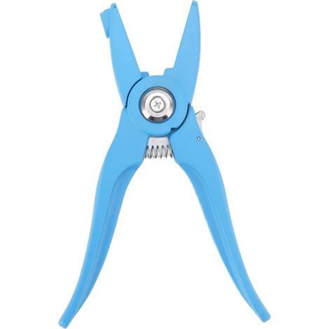 Pince étiquette oreille – bétail / chèvre / mouton / agneau / bovin – applicateur – identification