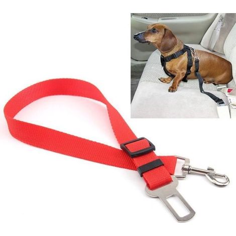 Ceinture de sécurité pour chien - Nylon - Rouge - Longueur réglable 50-75cm - Largeur 2,5cm - ABS et Alliage (1/4)