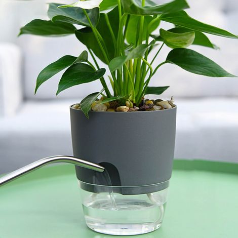 Maceta decorativa de plástico con cuerda de algodón y riego automático, color gris, 15,3 cm de diámetro, ideal para plantas de interior y exterior, flores y hierbas.