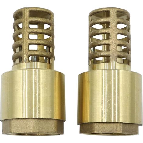 Pack de 2 clapets à pied en laiton NPT de 1 pouce - clapets anti-retour avec crépines pour pompes à jet de puits (1/5)