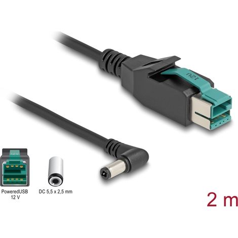 Delock Cable PoweredUSB macho 12 V a DC 5,5 x 2,5 mm macho sesgado 2 m
