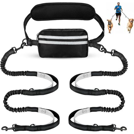 Laisse Mains Libres pour Chien avec Pochette, Double pour Deux Chiens, Laisse rétractable avec Double poignées rembourrées (1/5)