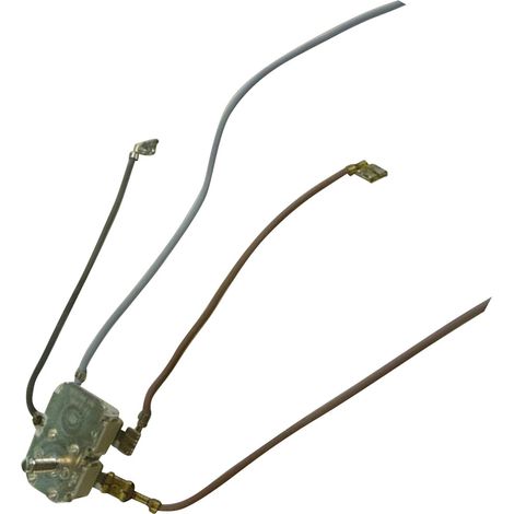 Ersatzteil - Thermostat + Sicherung -  - ROWENTA