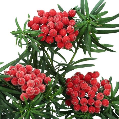 Baies De Houx Artificielles - 12 Mm - Rouge - En Mousse - Pour Décoration De Sapin De Noël Couronne Table Patio - Lot De 2 (1/5)