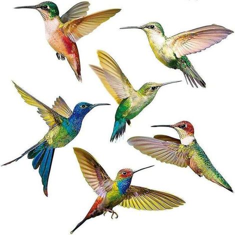 Autocollant de fenêtre Anti-Collision 6 pièces Autocollant de fenêtre Colibri Autocollants de fenêtre Oiseaux Autocollant en Verre (1/3)
