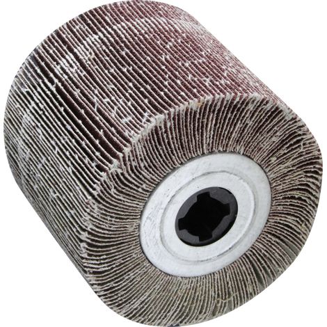 brosse lamellaire pour brosseuse Valex "S1200" 100 mm