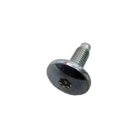 VIS M8X23 TORX TEFL ROHS pour lave linge