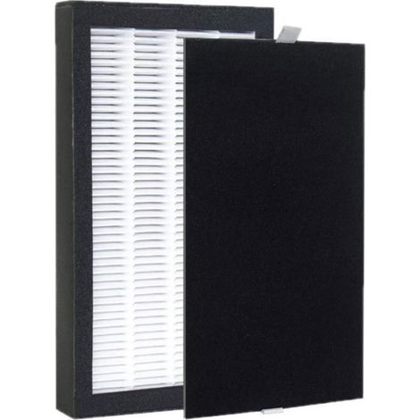 Filtre HEPA H13 - Préfiltre À Charbon Actif - Compatible Purificateur D'air FLT4100 - Lot De 2 (1/5)