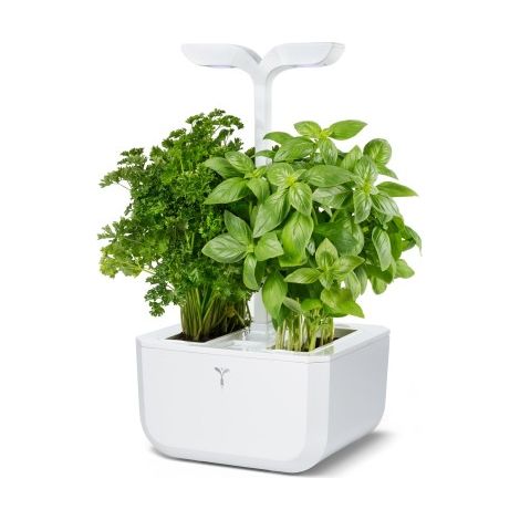Outil de jardinage veritable exky classic éclairage LED arrosage auto (1/5)