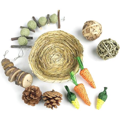 11 pièces Jouets en Bois pour Soins Dentaires Cochon d'Inde Chinchilla Gerbille Souris Rat (1/4)