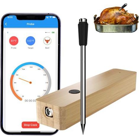 Thermomètre à viande intelligent sans fil pour barbecue, fumoir, four et rôtissoire - Aiguille unique-AquaForge (1/5)