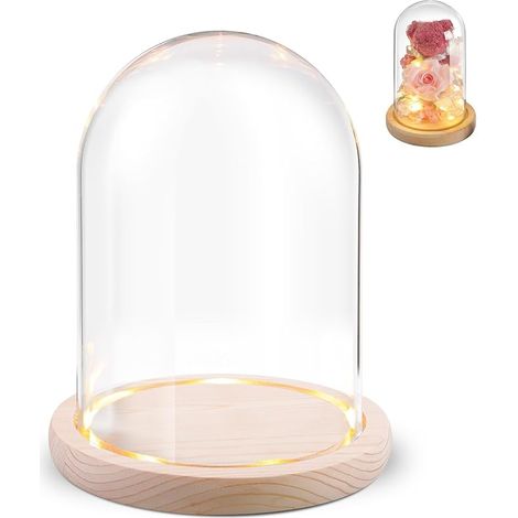 Cloche en Verre avec Socle en Bois Naturel 12 x 16 cm Dôme Décoratif pour Poupées Bougies Fleurs Séchées Figurines et Objets de Collection (1/5)