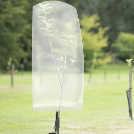 Couverture Végétale - Film De Protection Contre Le Gel - Transparente Pour Arbustes Et Plantes - 2 5 M X 3 M (1/4)