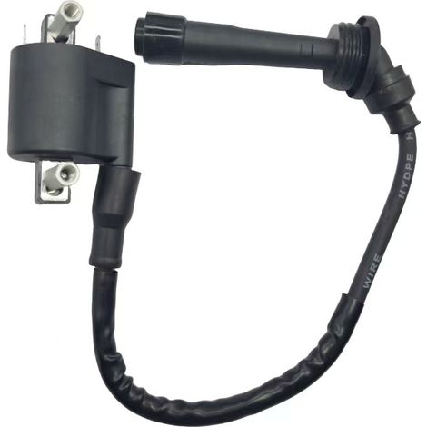 Applicable aux motos Benelli 250cc et 250cc : Bobine d'allumage N30 125-JA1-1