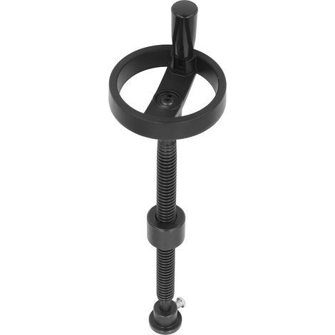 Vis à sertir T20 pour établi, en acier, avec volant de 100 mm pour travaux de menuiserie, 300 mm (1/5)