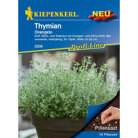 Kiepenkerl Thymian Orangelo Pillensaat Gemüsesamen (1/2)