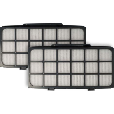 vhbw 2x filtro post-motore compatibile con Rowenta Power XXL RO3171EA, RO3153EA, RO3142EA, RO3125EA aspirapolvere - filtro aria di scarico EPA