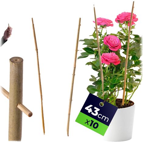 Support d'échelle en bambou, hauteur de 43 cm, 10 pièces, compatibilité avec les plantes, design décoratif, facile à utiliser (1/5)