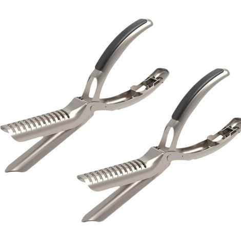 Due utensili argentati per spellare le costine (22 x 7 cm ciascuno), ideali per grigliare le costine. Un accessorio indispensabile in cucina. (1/5)