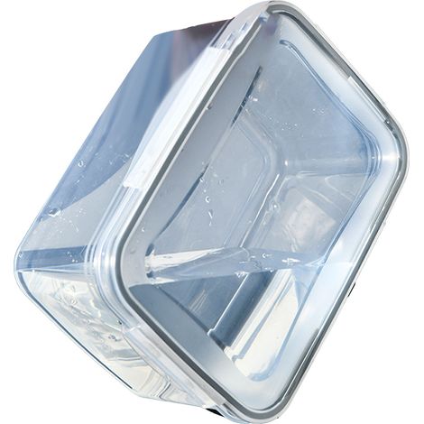 Bac de conservation transparent multifonctionnel à double paroi pour fruits et légumes, idéal pour le réfrigérateur et la cuisine. (1/5)