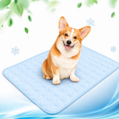 Tapis rafraîchissant pour chien et chat 150 x 100 cm, auto-refroidissant, imperméable et antidérapant, pour cage, panier et voiture, bleu clair (1/5)