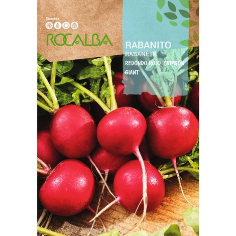 Rokalba Rabanito Redondo "Crimson Giant" 10G