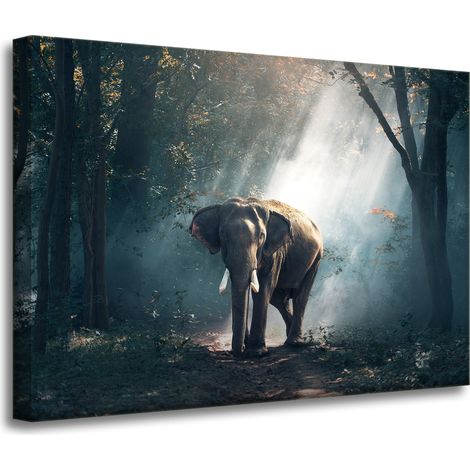 Leinwanddruck Tiere Elefant 70x50 cm