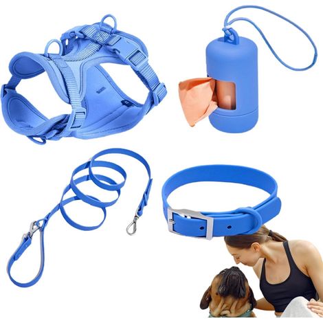 Ensemble de harnais pour chiens de petite taille, laisse pour chien – Pas de harnais pour chien, gilet avec laisse, collier de sécurité, réglable avec porte-sac à déjections canines (1/5)