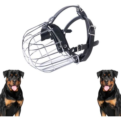 Une muselière argentée pour chiens, de 40 cm de long, pour prévenir les morsures, les ingestions accidentelles et les aboiements. (1/5)