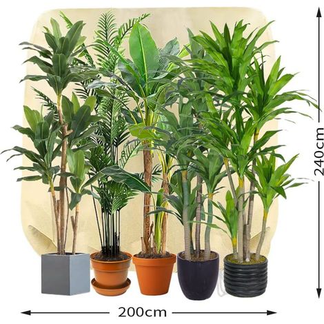 Housse Hivernage Plante, Housse d'Hivernage, 240x200 cm Housse Hivernage pour Plantes, Housse Hivernage, Housse d'Hivernage pour Plante, Housses de Protection pour Plantes (1/4)