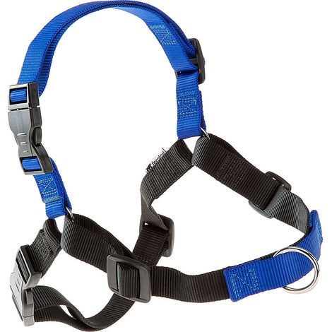 Ferplast COACH P Pettorina da addestramento per cani con sistema di aggancio anteriore. Due colori.. Variante L - Misure: A: 33-43 cm B: 64-91 cm 20 mm - Blu (1/5)