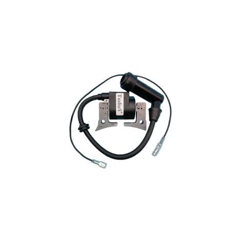 Zündspulen und Magnetanker für Subaru Robin EX13, EX17, EX21, EX 13, 17, 21, SP170, SP210, SP 170, 210 Motoren. Teilenummern: 277-79431-01, 277-79431-11 (2 Stück).