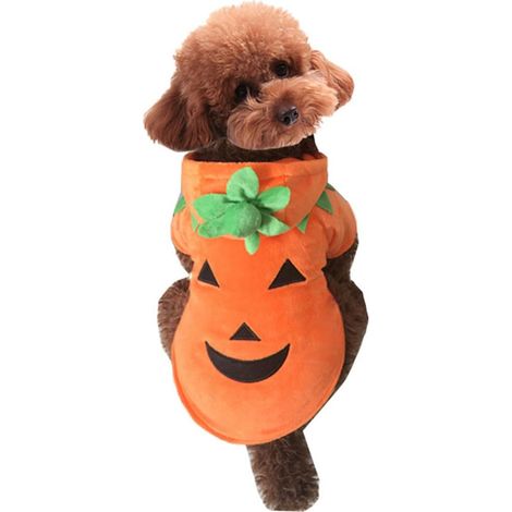 Costume pour animal domestique (chien), veste polaire à capuche en forme de citrouille, adaptée pour l'automne et l'hiver. Taille L.