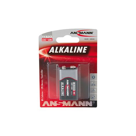 pile alkaline 9 v 6lr61.