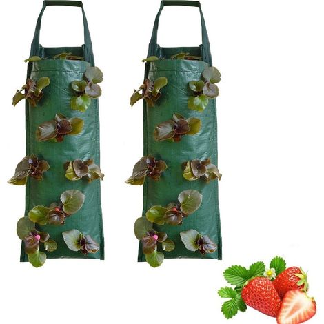Erdbeere Pflanzsack 2 Stück, Hängende Pflanzbeutel, Für Pflanzen / Kräuter / Blumen / Gemüse (1/5)