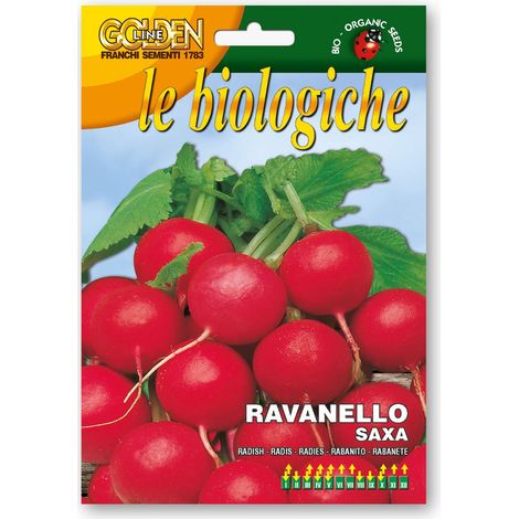 SEMI DI RAVANELLO SAXA