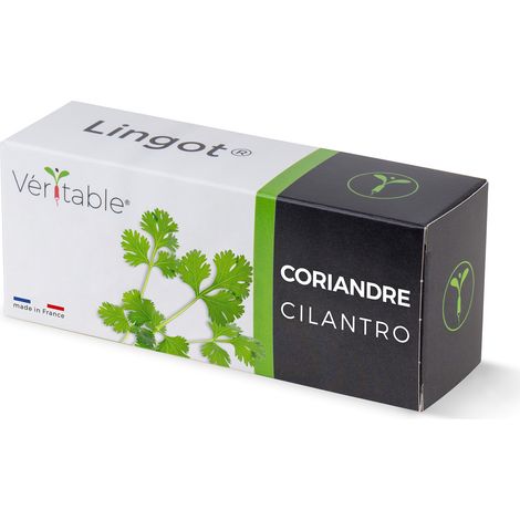 Veritable Lingot de coriandre recharge jardin intérieur vert (1/5)