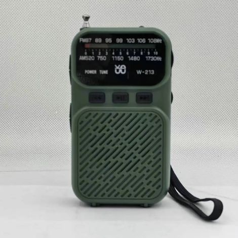 (Vert) Mini radio analogique FM/AM - Lampe torche - Signal stable - DSP - Rechargeable - Enceinte Bluetooth (1/5)